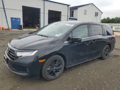 5FNRL6H73RB071291 2024 HONDA ODYSSEY