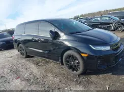 5FNRL6H73SB017415 2025 HONDA ODYSSEY