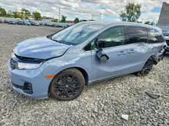 5FNRL6H73SB051287 2025 HONDA ODYSSEY