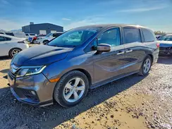 5FNRL6H74LB003539 2020 HONDA ODYSSEY