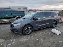 5FNRL6H74MB013117 2021 HONDA ODYSSEY