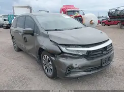 5FNRL6H74MB031875 2021 HONDA ODYSSEY