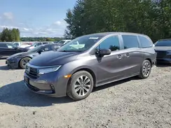 5FNRL6H74NB024443 2022 HONDA ODYSSEY