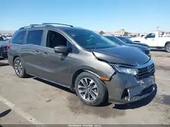 5FNRL6H74NB031537 2022 HONDA ODYSSEY