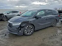5FNRL6H74NB031991 2022 HONDA ODYSSEY