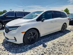 5FNRL6H74RB003050 2024 HONDA ODYSSEY
