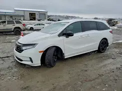 5FNRL6H74RB069002 2024 HONDA ODYSSEY