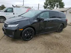 5FNRL6H74SB076117 2025 HONDA ODYSSEY