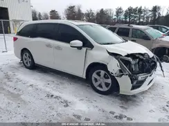 5FNRL6H75KB031039 2019 HONDA ODYSSEY