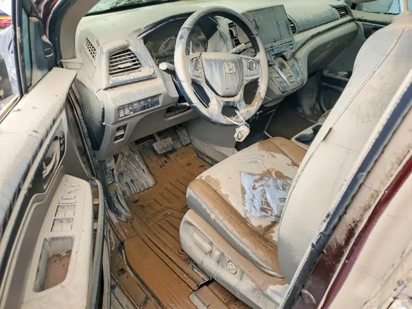 5FNRL6H75LB024318 2020 HONDA ODYSSEY - Image 8