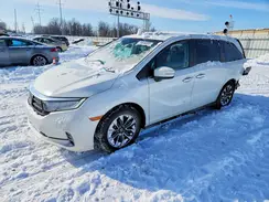 5FNRL6H75MB023509 2021 HONDA ODYSSEY