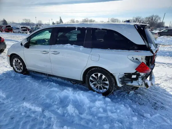 5FNRL6H75MB023509 2021 HONDA ODYSSEY - Image 2