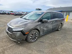 5FNRL6H75MB030931 2021 HONDA ODYSSEY