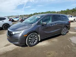 5FNRL6H75NB009210 2022 HONDA ODYSSEY