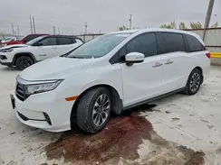 5FNRL6H75NB018943 2022 HONDA ODYSSEY