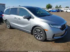 5FNRL6H75NB029781 2022 HONDA ODYSSEY
