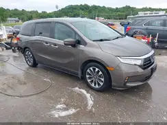 5FNRL6H75NB034690 2022 HONDA ODYSSEY