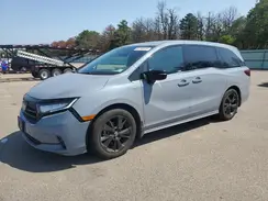 5FNRL6H75RB012517 2024 HONDA ODYSSEY