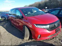 5FNRL6H75RB017913 2024 HONDA ODYSSEY