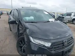 5FNRL6H75RB056176 2024 HONDA ODYSSEY