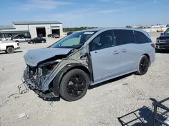 5FNRL6H75RB061667 2024 HONDA ODYSSEY