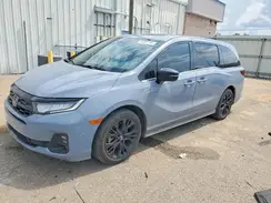5FNRL6H75SB028593 2025 HONDA ODYSSEY