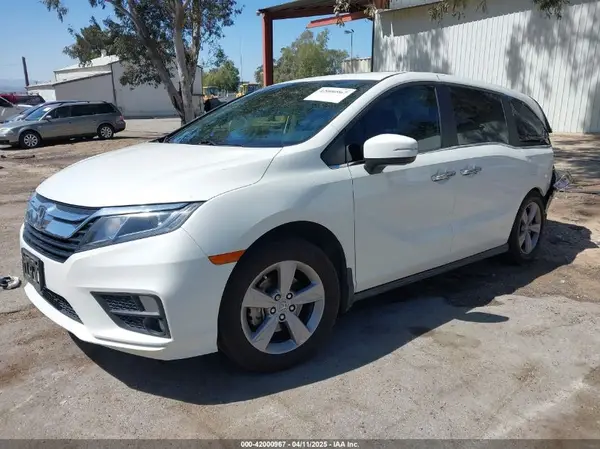 5FNRL6H76KB066365 2019 HONDA ODYSSEY - Image 2