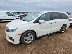 5FNRL6H76KB072599 2019 HONDA ODYSSEY