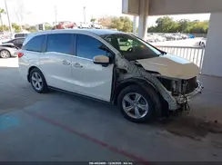 5FNRL6H76KB074031 2019 HONDA ODYSSEY