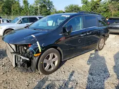 5FNRL6H76KB131134 2019 HONDA ODYSSEY