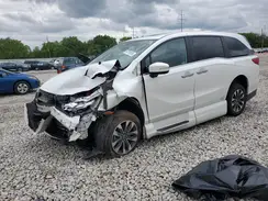 5FNRL6H76MB023552 2021 HONDA ODYSSEY
