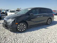 5FNRL6H76MB031568 2021 HONDA ODYSSEY