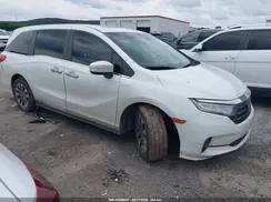 5FNRL6H76MB036270 2021 HONDA ODYSSEY
