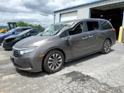 5FNRL6H76MB044630 2021 HONDA ODYSSEY