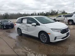 5FNRL6H76NB002248 2022 HONDA ODYSSEY