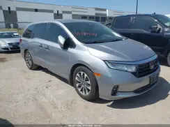 5FNRL6H76NB028493 2022 HONDA ODYSSEY