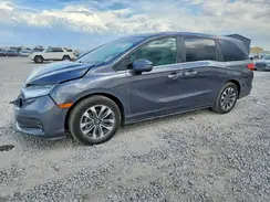 5FNRL6H76NB034102 2022 HONDA ODYSSEY