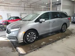 5FNRL6H76NB045293 2022 HONDA ODYSSEY