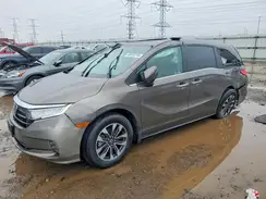 5FNRL6H76NB046993 2022 HONDA ODYSSEY