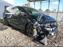 5FNRL6H76RB004586 2024 HONDA ODYSSEY