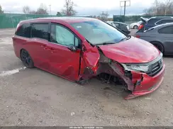 5FNRL6H76RB008329 2024 HONDA ODYSSEY
