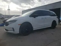 5FNRL6H76RB053657 2024 HONDA ODYSSEY