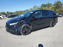 5FNRL6H76RB066926 2024 HONDA ODYSSEY