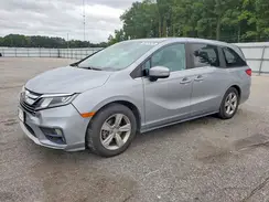 5FNRL6H77KB031981 2019 HONDA ODYSSEY