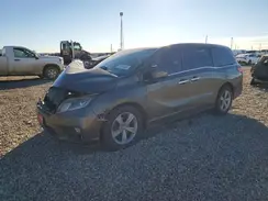 5FNRL6H77KB071879 2019 HONDA ODYSSEY