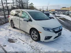 5FNRL6H77KB085572 2019 HONDA ODYSSEY