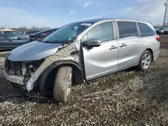 5FNRL6H77LB070457 2020 HONDA ODYSSEY