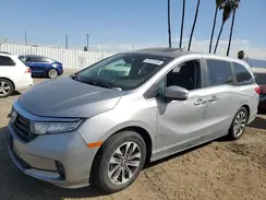 5FNRL6H77MB011099 2021 HONDA ODYSSEY
