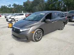 5FNRL6H77MB011118 2021 HONDA ODYSSEY