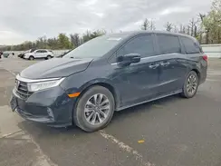 5FNRL6H77MB012401 2021 HONDA ODYSSEY